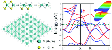 Graphical abstract: Two-dimensional transitional metal dihydride crystals with anisotropic and spin-polarized Fermi Dirac cones