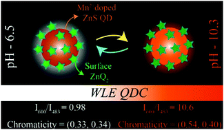 Graphical abstract: A two-target responsive reversible ratiometric pH nanoprobe: a white light emitting quantum dot complex