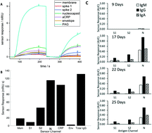 Graphical abstract: Real-world evaluation of a novel technology for quantitative simultaneous antibody detection against multiple SARS-CoV-2 antigens in a cohort of patients presenting with COVID-19 syndrome