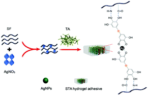 Graphical abstract: A natural polymer based bioadhesive with self-healing behavior and improved antibacterial properties