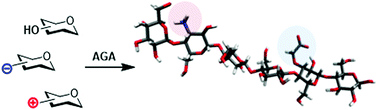 Graphical abstract: Automated access to well-defined ionic oligosaccharides