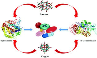 Graphical abstract: Research progress on the inhibition of enzymes by polyoxometalates