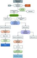 Graphical abstract: Recovery of niobium and tantalum by solvent extraction from Sn–Ta–Nb mining tailings