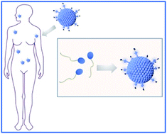 Graphical abstract: Non-ionic small amphiphile based nanostructures for biomedical applications