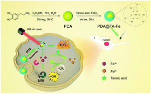 Graphical abstract: Tumor microenvironment-responsive polydopamine-based core/shell nanoplatform for synergetic theranostics