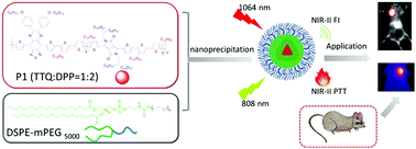 Graphical abstract: Double-acceptor conjugated polymers for NIR-II fluorescence imaging and NIR-II photothermal therapy applications