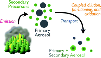 Graphical abstract: Dilution and photooxidation driven processes explain the evolution of organic aerosol in wildfire plumes