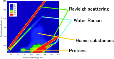 Graphical abstract: Fluorophores in surface freshwaters: importance, likely structures, and possible impacts of climate change