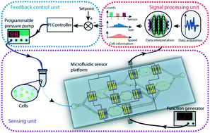 Graphical abstract: Closed-loop feedback control of microfluidic cell manipulation via deep-learning integrated sensor networks