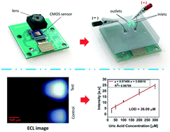Graphical abstract: SE-ECL on CMOS: a miniaturized electrochemiluminescence biosensor