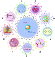 Graphical abstract: Effects of polyethylene glycol on the surface of nanoparticles for targeted drug delivery