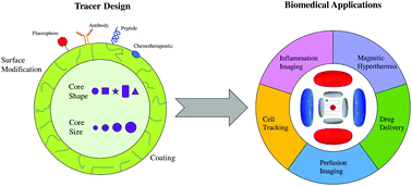 Graphical abstract: Magnetic particle imaging: tracer development and the biomedical applications of a radiation-free, sensitive, and quantitative imaging modality