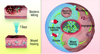 Graphical abstract: Bimetal metal–organic framework domino micro-reactor for synergistic antibacterial starvation/chemodynamic therapy and robust wound healing