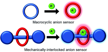 Graphical abstract: Optical sensing of anions by macrocyclic and interlocked hosts