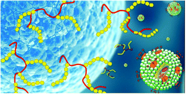 Graphical abstract: Calixarene-decorated liposomes for intracellular cargo delivery