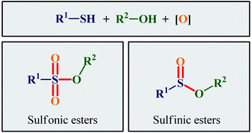 Graphical abstract: Strategies for the direct oxidative esterification of thiols with alcohols