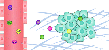 Graphical abstract: Gas and gas-generating nanoplatforms in cancer therapy