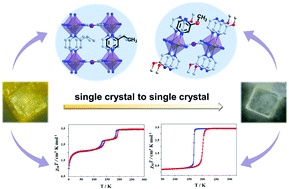 Graphical abstract: Single crystal to single crystal transformation of spin-crossover coordination polymers from 3D frameworks to 2D layers