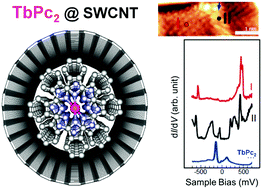 Graphical abstract: Terbium(iii) bis-phthalocyaninato single-molecule magnet encapsulated in a single-walled carbon nanotube