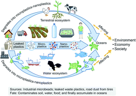 Graphical abstract: Microplastics in ecosystems: their implications and mitigation pathways