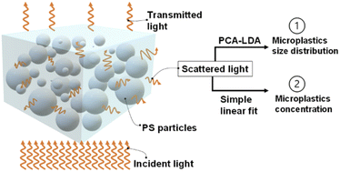 Graphical abstract: Batch analysis of microplastics in water using multi-angle static light scattering and chemometric methods