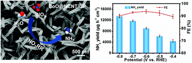 Graphical abstract: CoO nanoparticle decorated N-doped carbon nanotubes: a high-efficiency catalyst for nitrate reduction to ammonia