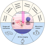 Graphical abstract: Optothermal rotation of micro-/nano-objects