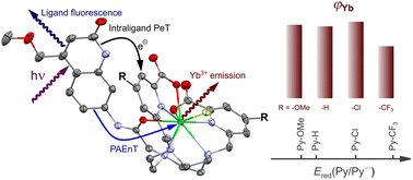 Graphical abstract: Improved emission of Yb(iii) ions in triazacyclononane-based macrocyclic ligands compared to cyclen-based ones