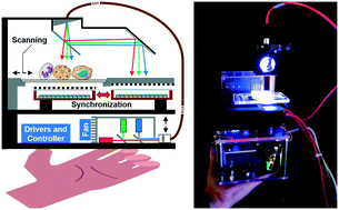 Graphical abstract: High-throughput digital pathology via a handheld, multiplexed, and AI-powered ptychographic whole slide scanner