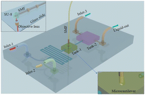 Graphical abstract: Femtosecond laser direct writing of a 3D microcantilever on the tip of an optical fiber sensor for on-chip optofluidic sensing