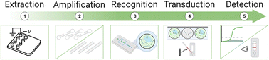 Graphical abstract: A critical review of microfluidic systems for CRISPR assays