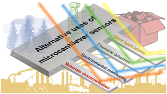 Graphical abstract: Beyond biology: alternative uses of cantilever-based technologies