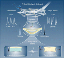 Graphical abstract: Dynamic competitive strains enabled self-supporting Janus nanostructured films for high-performance airflow perception