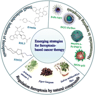 Graphical abstract: Recent trends in emerging strategies for ferroptosis-based cancer therapy