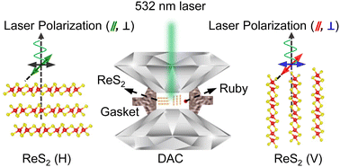 Graphical abstract: Orientation–polarization dependence of pressure-induced Raman anomalies in anisotropic 2D ReS2