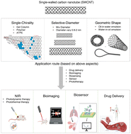 Graphical abstract: Single-chirality of single-walled carbon nanotubes (SWCNTs) through chromatography and its potential biological applications