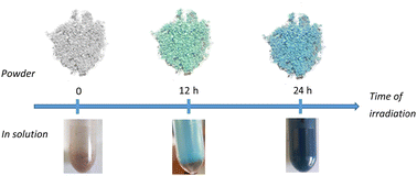 Graphical abstract: Composites based on nitroprusside cyano-bridged coordination polymer particles and chitosan for NO delivery