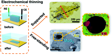 Graphical abstract: Fast and efficient electrochemical thinning of ultra-large supported and free-standing MoS2 layers on gold surfaces