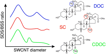 Graphical abstract: Variations in bile salt surfactant structure allow tuning of the sorting of single-wall carbon nanotubes by aqueous two-phase extraction