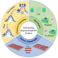 Graphical abstract: Self-healing system of superhydrophobic surfaces inspired from and beyond nature