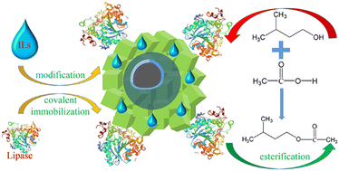 Graphical abstract: Covalent immobilization of lipase on an ionic liquid-functionalized magnetic Cu-based metal–organic framework with boosted catalytic performance in flavor ester synthesis