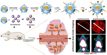 Graphical abstract: Phosphorus core–shell tecto dendrimers for enhanced tumor imaging: the rigidity of the backbone matters