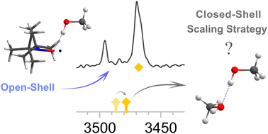 Graphical abstract: Benchmarking the anisotropy of nitroxyl radical solvation with IR spectroscopy