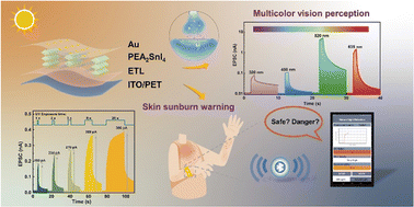 Graphical abstract: Multicolor vision perception of flexible optoelectronic synapse with high sensitivity for skin sunburn warning