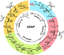 Graphical abstract: The potential of converting carbon dioxide to food compounds via asymmetric catalysis