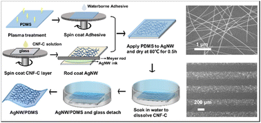 Graphical abstract: A simple and efficient transfer method for fabricating stretchable AgNW patterns on PDMS using carboxylated cellulose nanofibers as a sacrificial layer