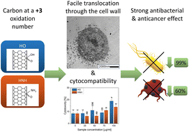 Graphical abstract: Anticancer and antibacterial properties of carbon nanotubes are governed by their functional groups