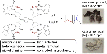 Graphical abstract: Ethylene polymerization using heterogeneous multinuclear nickel catalysts supported by a crosslinked alpha diimine ligand network