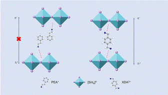 Graphical abstract: Efficient quasi-2D tin perovskite solar cells based on mixed monoammonium and diammonium terminal molecules