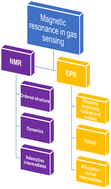 Graphical abstract: Behind the gas sensors: revealing sensing mechanisms with advanced magnetic resonance technology